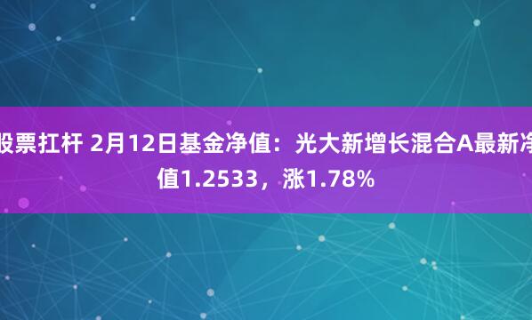 股票扛杆 2月12日基金净值：光大新增长混合A最新净值1.2533，涨1.78%