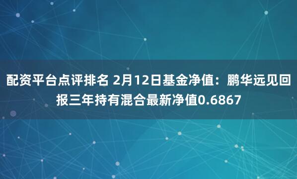 配资平台点评排名 2月12日基金净值：鹏华远见回报三年持有混合最新净值0.6867