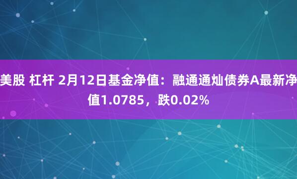 美股 杠杆 2月12日基金净值：融通通灿债券A最新净值1.0785，跌0.02%