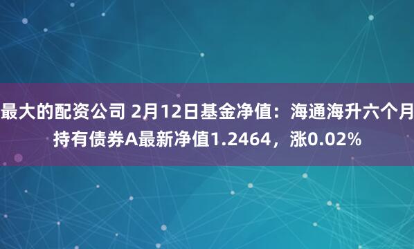 最大的配资公司 2月12日基金净值：海通海升六个月持有债券A最新净值1.2464，涨0.02%