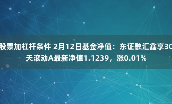 股票加杠杆条件 2月12日基金净值：东证融汇鑫享30天滚动A最新净值1.1239，涨0.01%