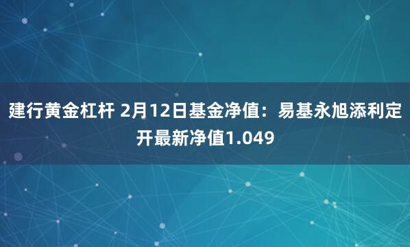 建行黄金杠杆 2月12日基金净值：易基永旭添利定开最新净值1.049