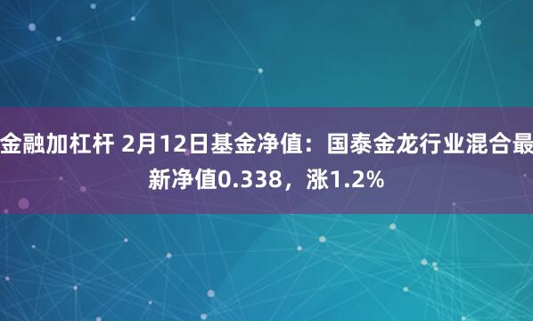 金融加杠杆 2月12日基金净值：国泰金龙行业混合最新净值0.338，涨1.2%