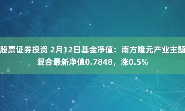 股票证券投资 2月12日基金净值：南方隆元产业主题混合最新净值0.7848，涨0.5%