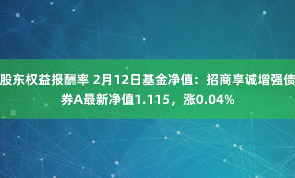 股东权益报酬率 2月12日基金净值：招商享诚增强债券A最新净值1.115，涨0.04%