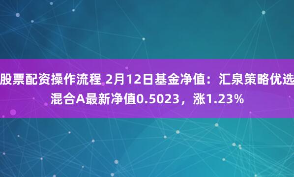 股票配资操作流程 2月12日基金净值：汇泉策略优选混合A最新净值0.5023，涨1.23%