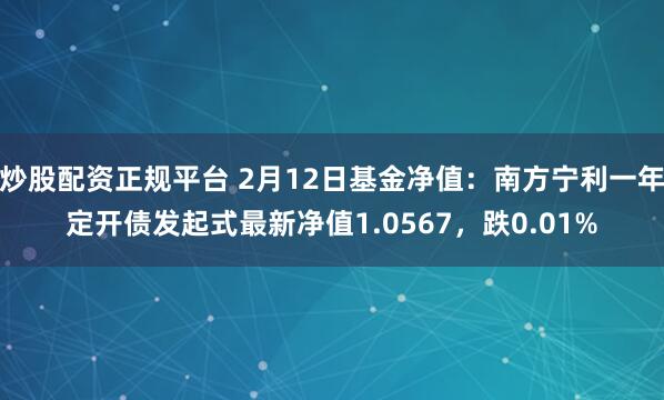 炒股配资正规平台 2月12日基金净值：南方宁利一年定开债发起式最新净值1.0567，跌0.01%