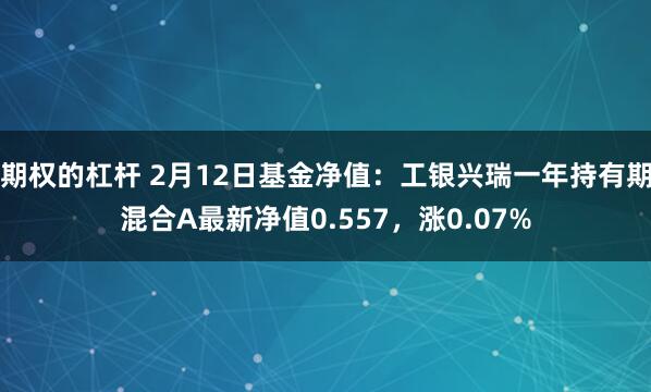 期权的杠杆 2月12日基金净值：工银兴瑞一年持有期混合A最新净值0.557，涨0.07%