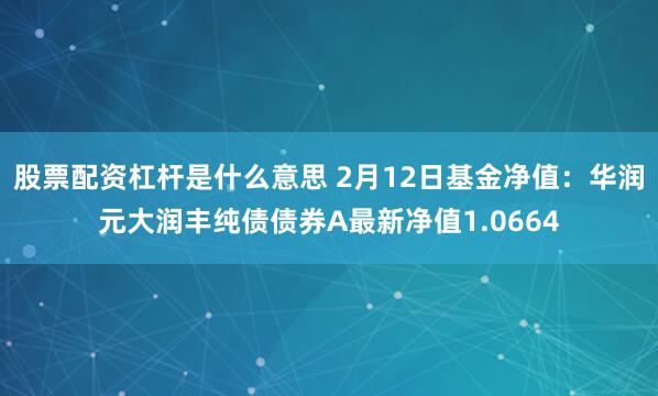 股票配资杠杆是什么意思 2月12日基金净值：华润元大润丰纯债债券A最新净值1.0664