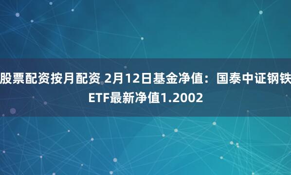 股票配资按月配资 2月12日基金净值：国泰中证钢铁ETF最新净值1.2002