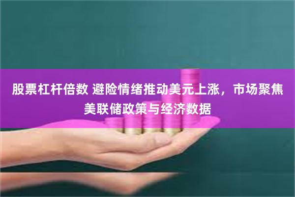 股票杠杆倍数 避险情绪推动美元上涨，市场聚焦美联储政策与经济数据