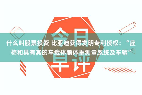 什么叫股票投资 比亚迪获得发明专利授权：“座椅和具有其的车载体脂体重测量系统及车辆”