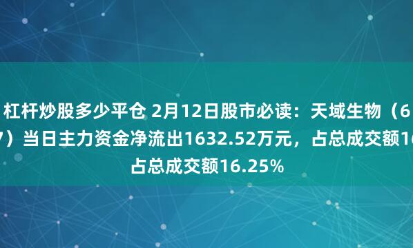 杠杆炒股多少平仓 2月12日股市必读：天域生物（603717）当日主力资金净流出1632.52万元，占总成交额16.25%