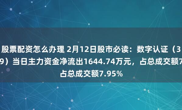 股票配资怎么办理 2月12日股市必读：数字认证（300579）当日主力资金净流出1644.74万元，占总成交额7.95%