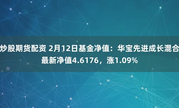 炒股期货配资 2月12日基金净值：华宝先进成长混合最新净值4.6176，涨1.09%