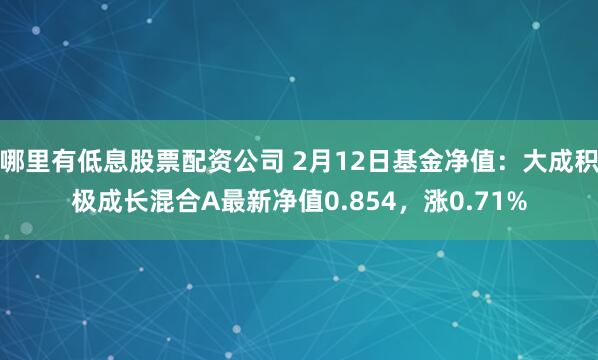 哪里有低息股票配资公司 2月12日基金净值：大成积极成长混合A最新净值0.854，涨0.71%