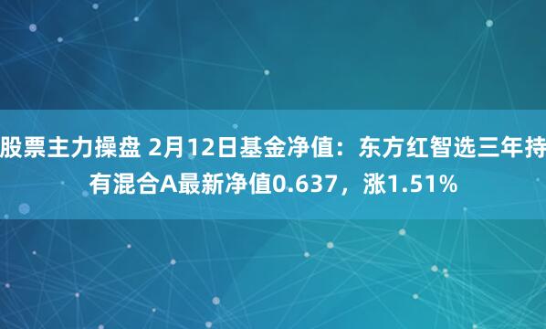 股票主力操盘 2月12日基金净值：东方红智选三年持有混合A最新净值0.637，涨1.51%