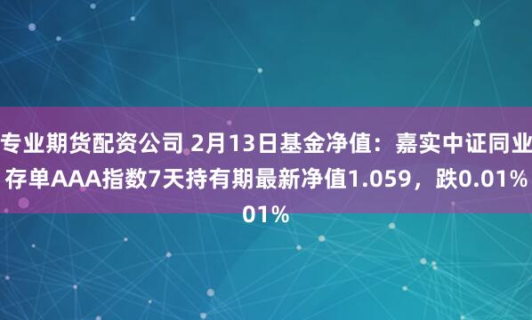 专业期货配资公司 2月13日基金净值：嘉实中证同业存单AAA指数7天持有期最新净值1.059，跌0.01%