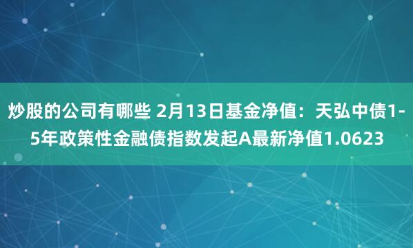 炒股的公司有哪些 2月13日基金净值：天弘中债1-5年政策性金融债指数发起A最新净值1.0623