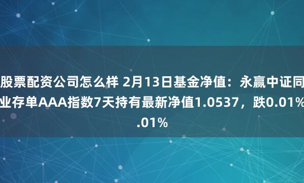 股票配资公司怎么样 2月13日基金净值：永赢中证同业存单AAA指数7天持有最新净值1.0537，跌0.01%