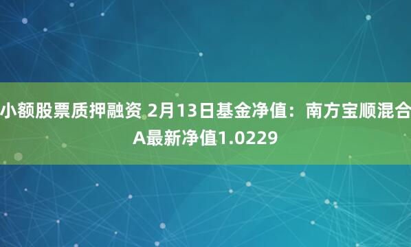 小额股票质押融资 2月13日基金净值：南方宝顺混合A最新净值1.0229