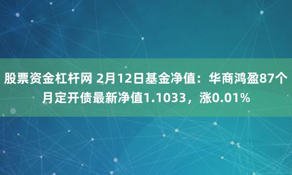 股票资金杠杆网 2月12日基金净值：华商鸿盈87个月定开债最新净值1.1033，涨0.01%