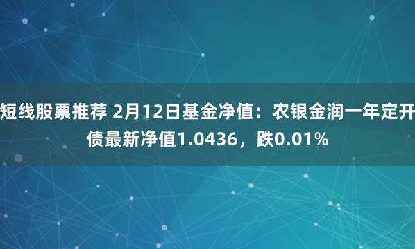 短线股票推荐 2月12日基金净值：农银金润一年定开债最新净值1.0436，跌0.01%