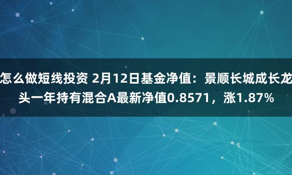 怎么做短线投资 2月12日基金净值：景顺长城成长龙头一年持有混合A最新净值0.8571，涨1.87%