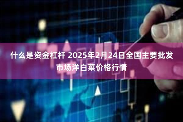 什么是资金杠杆 2025年2月24日全国主要批发市场洋白菜价格行情