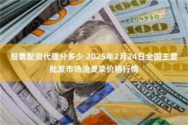 股票配资代理分多少 2025年2月24日全国主要批发市场油麦菜价格行情