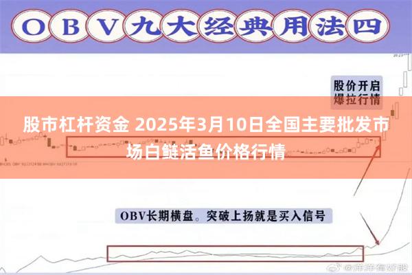 股市杠杆资金 2025年3月10日全国主要批发市场白鲢活鱼价格行情